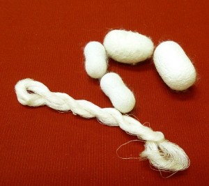 繭と生糸 大きい繭は中国産 小さいのは小石丸